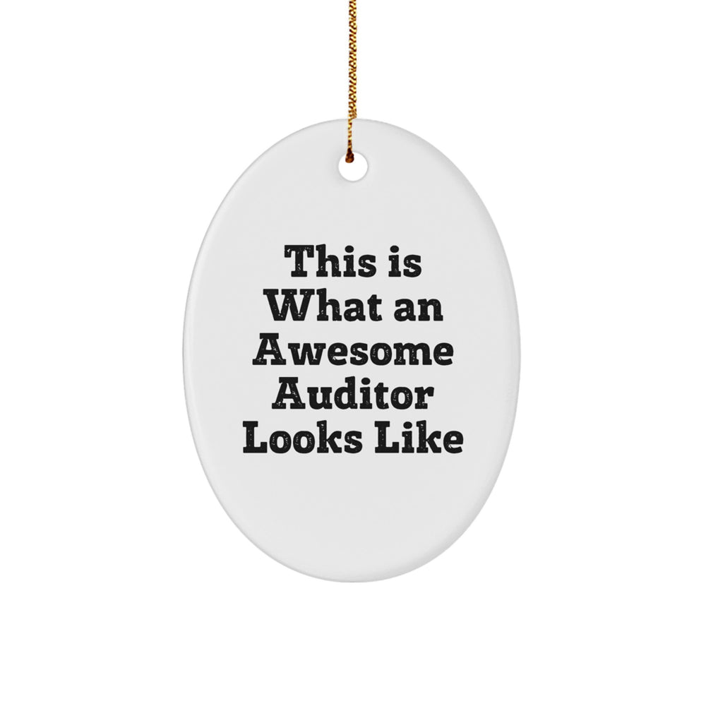 Funny Auditor Gifts for Men This Is What An Awesome Auditor Looks Like Oval Ornament for Christmas - Image 1