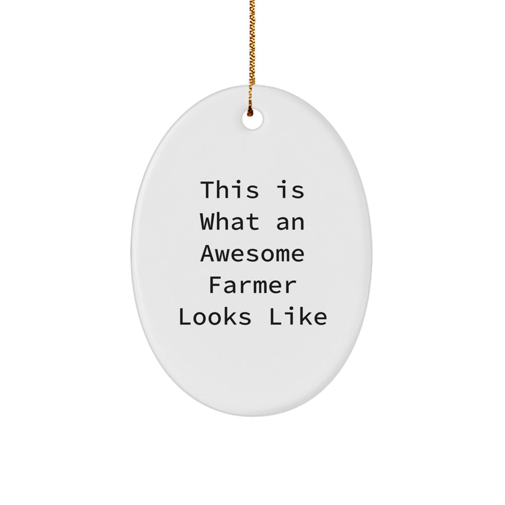Funny Farmer Gifts: This Is What An Awesome Farmer Looks Like Oval Ornament, Gifts from Friends and Family, Christmas Unique Presents for Men and Women - Image 1