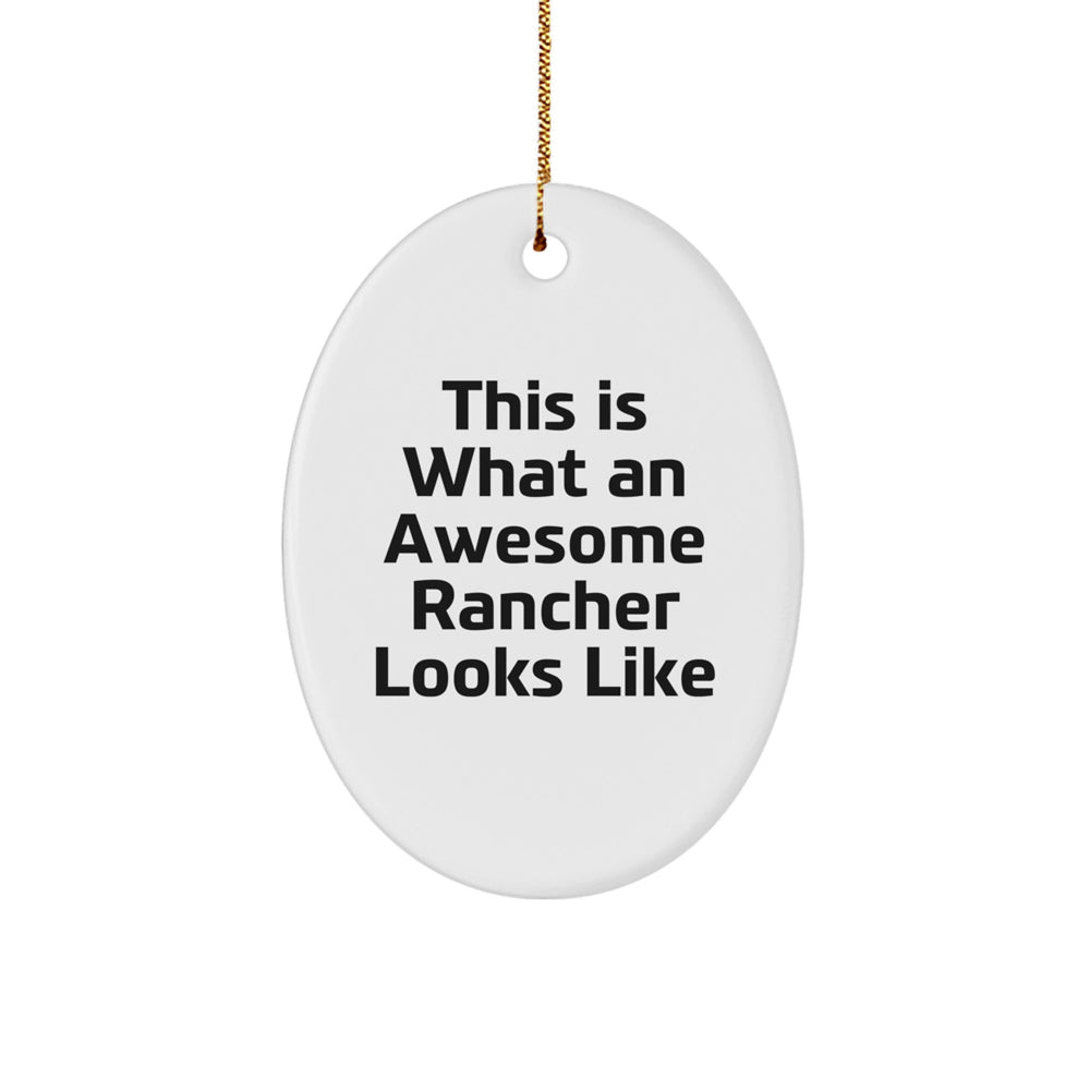 Rancher Gifts from Friends for Awesome Ranchers, Oval Ornament This Is What An Awesome Rancher Looks Like, Christmas Unique Gifts - Image 1