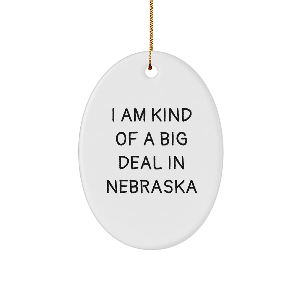 I Am Kind Of A Prime Selection In Nebraska Oval Ornament Gifts for Nebraska Lovers - Funny Christmas Ornament - Gifts from Friends and Family - Image 1