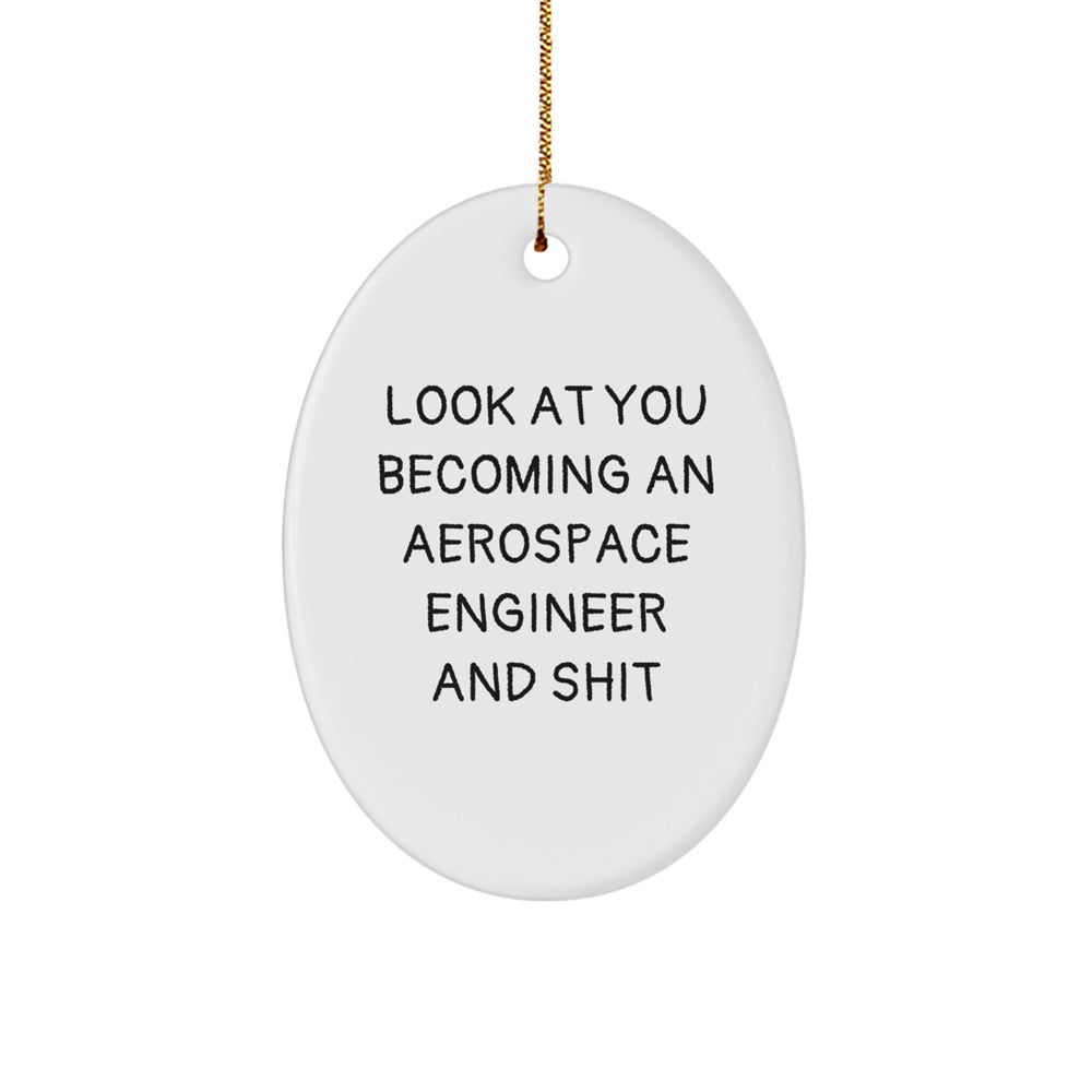 Funny Aerospace Engineer Oval Ornament Gifts for Men, Women, Friends, Family - Look At You Becoming An Aerospace Engineer And Shit - Christmas Unique Decorations from Friends and Family - Image 1