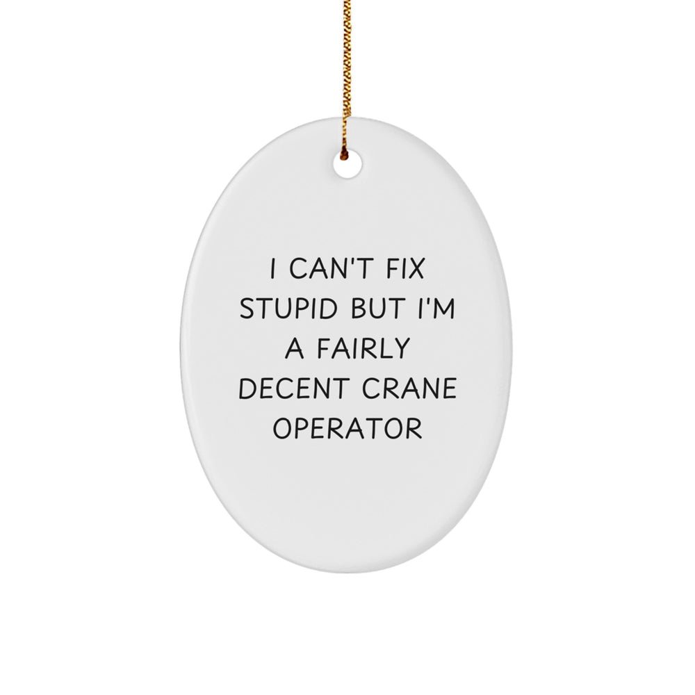 Funny Crane Operator Gifts for Men - Oval Ornament I 'Can't Fix Stupid' - Christmas Unique Decorations for Home - Image 1