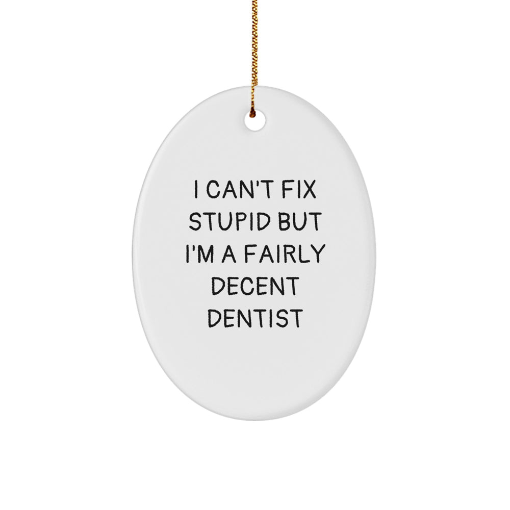 Funny Dentist Gifts from Men, Christmas Unique Gifts for Dentist, Oval Ornament 'I Can't Fix Stupid' - Image 1