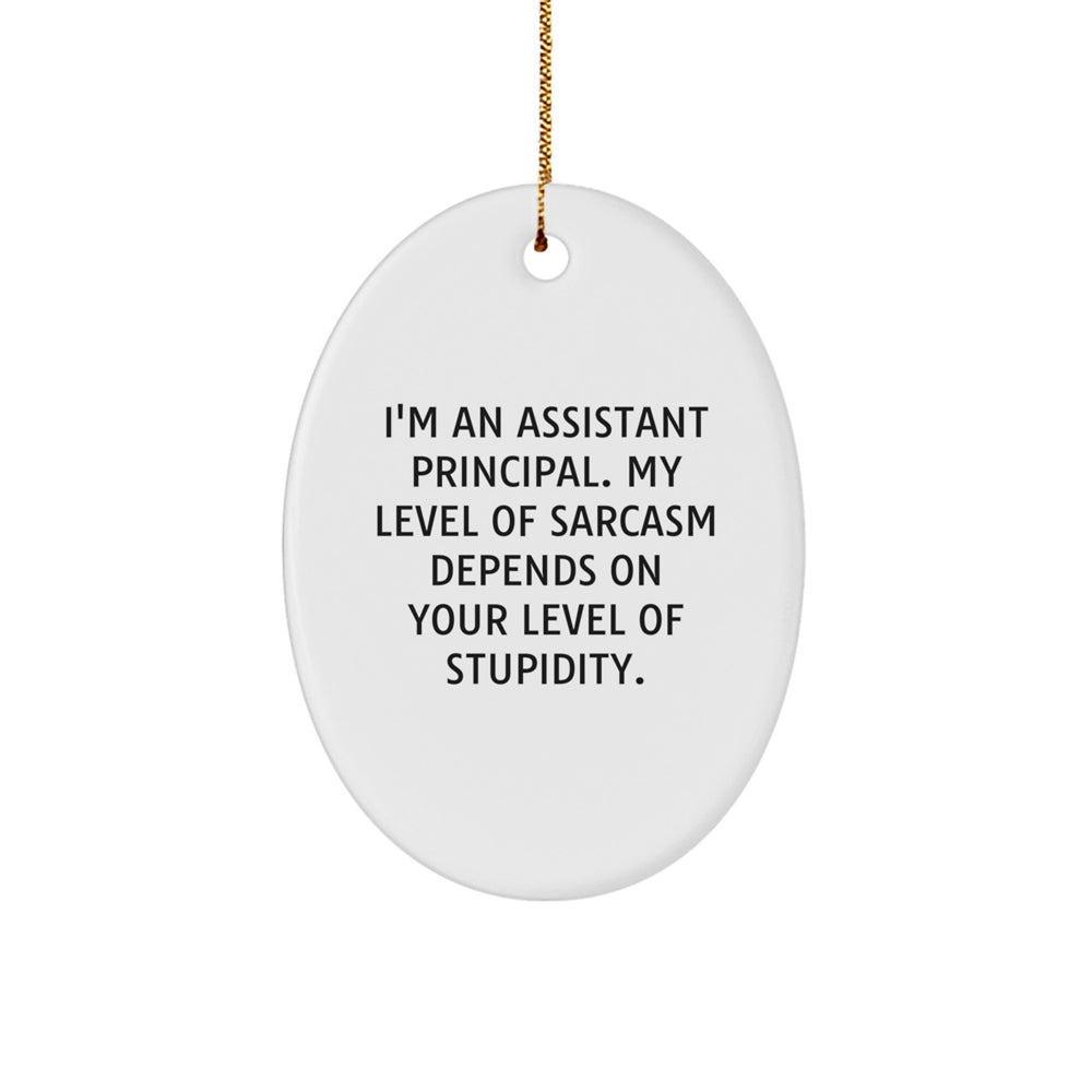 Funny Assistant Principal Gifts - Oval Ornament 'I'm An Assistant Principal, Sarcasm Level Depends on Stupidity' - Christmas Unique Office Decor for Assistant Principals, Men, Women, Friends, Family - Image 1