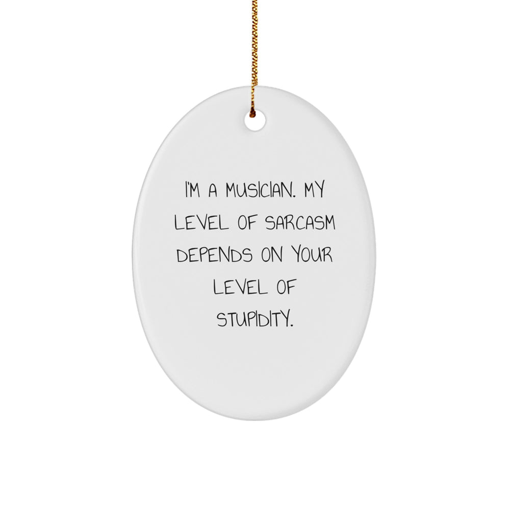 Funny Musician Oval Ornament - Gifts from Friends for Musician Men - Christmas Unique Gifts - I'm A Musician. My Level Of Sarcasm Depends On Your Level Of Stupidity. - Image 1