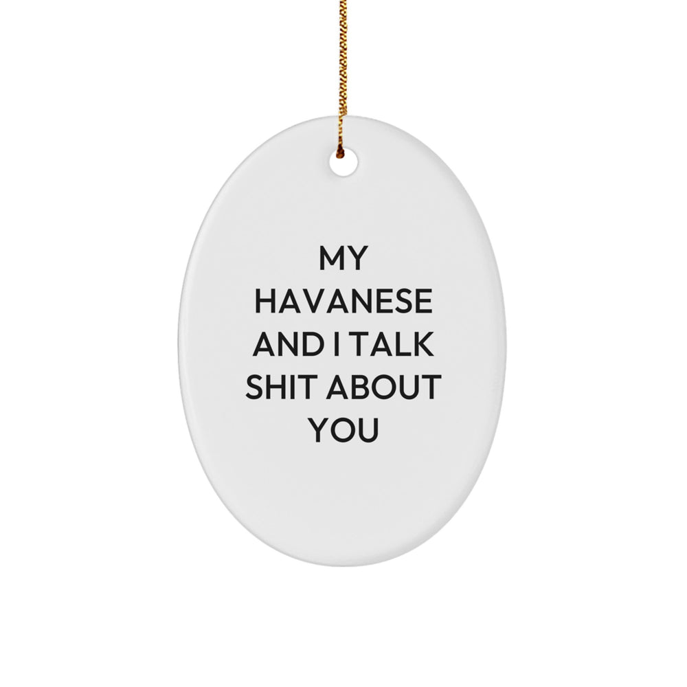 Funny Havanese Dog Oval Ornament Gifts from Friends to Family for Christmas - Image 1