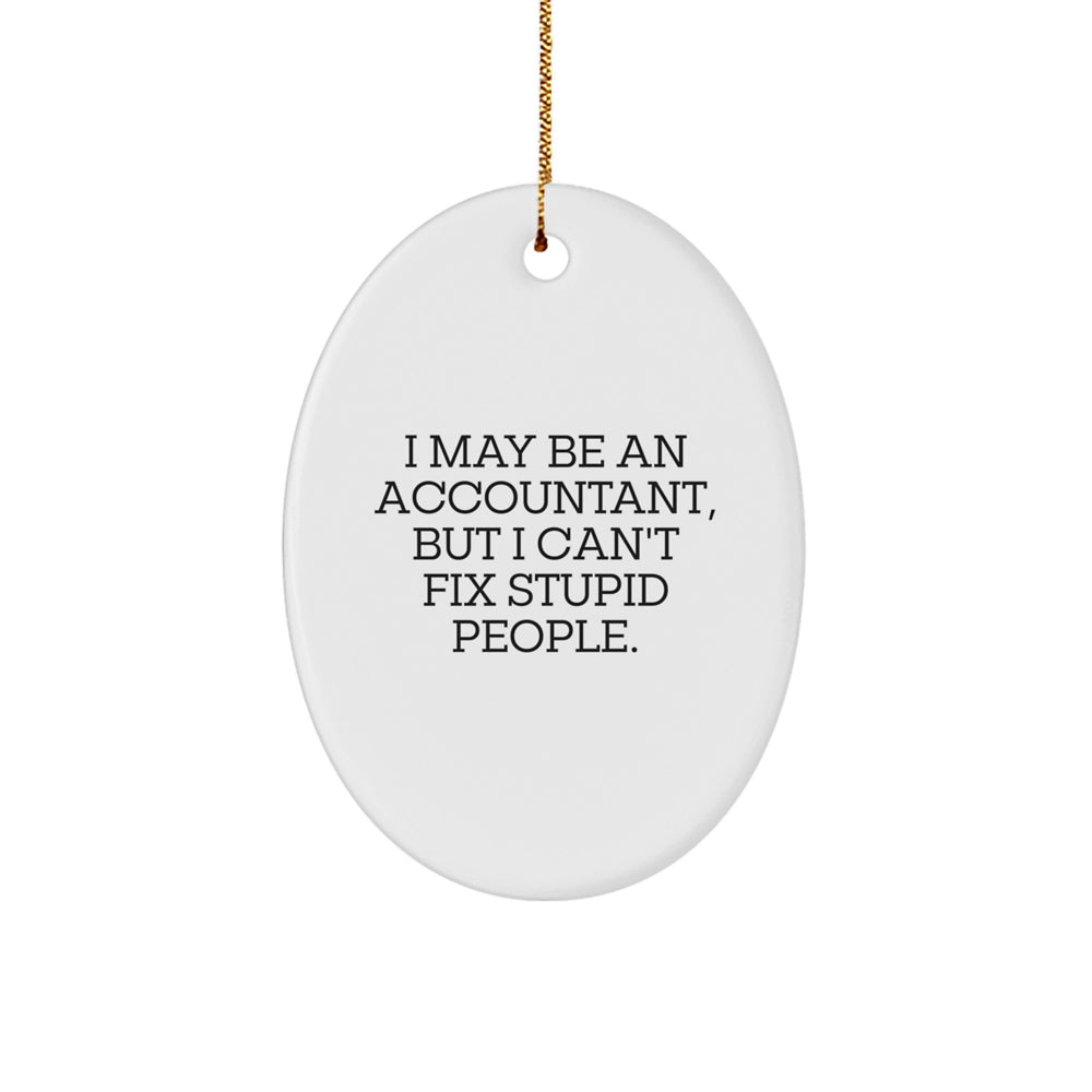 Funny Accountant Oval Ornament Gifts from Men to Friends, Coworkers, and Family - Christmas Unique Decorations for Office, Home, and More - 'I May Be An Accountant, But I Can't Fix Stupid People.' - Image 1
