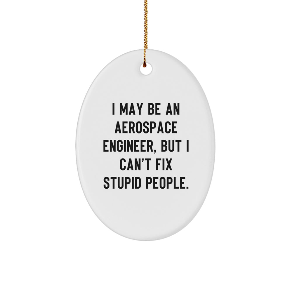 Funny Aerospace Engineer Gifts from Friends for Christmas - Oval Ornament with 'I May Be An Aerospace Engineer, But I Can't Fix Stupid People.' Quote, Unique Present for Men or Women - Image 1