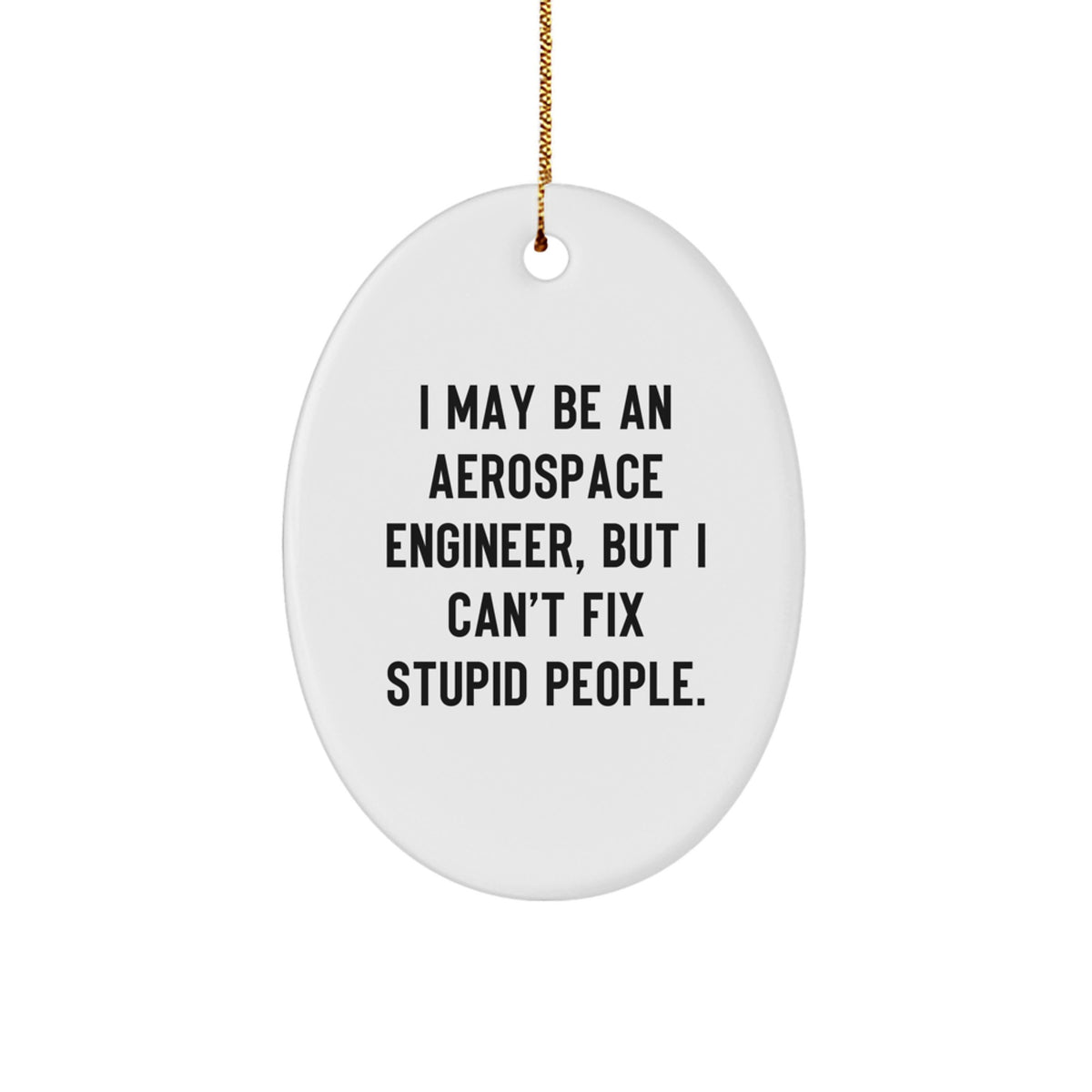 Funny Aerospace Engineer Gifts from Friends for Christmas - Oval Ornament with 'I May Be An Aerospace Engineer, But I Can't Fix Stupid People.' Quote, Unique Present for Men or Women - Image 1