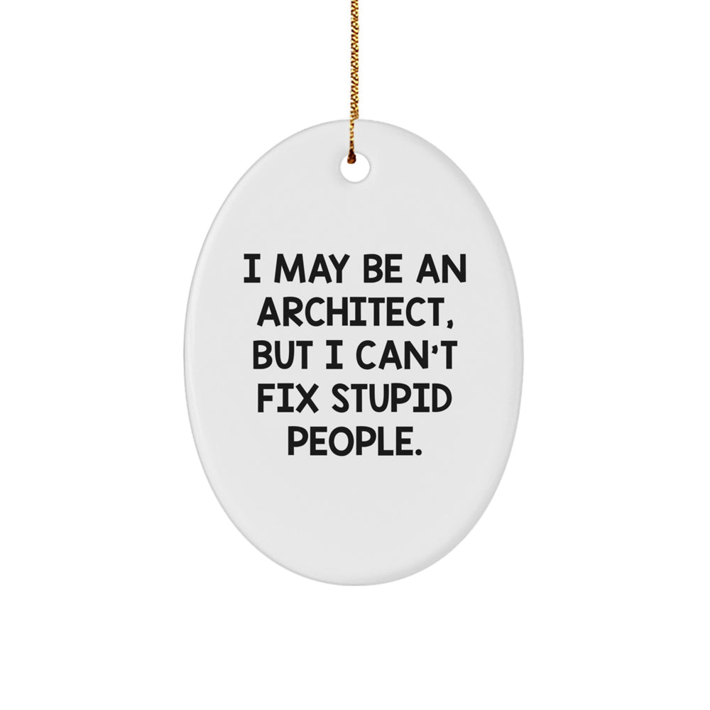 Funny Architect Oval Ornament Gifts from Family to Men Friends Coworkers, Christmas Unique Presents for Home Office Decor, 'I May Be An Architect But I Cant Fix Stupid People' Quote - Image 1