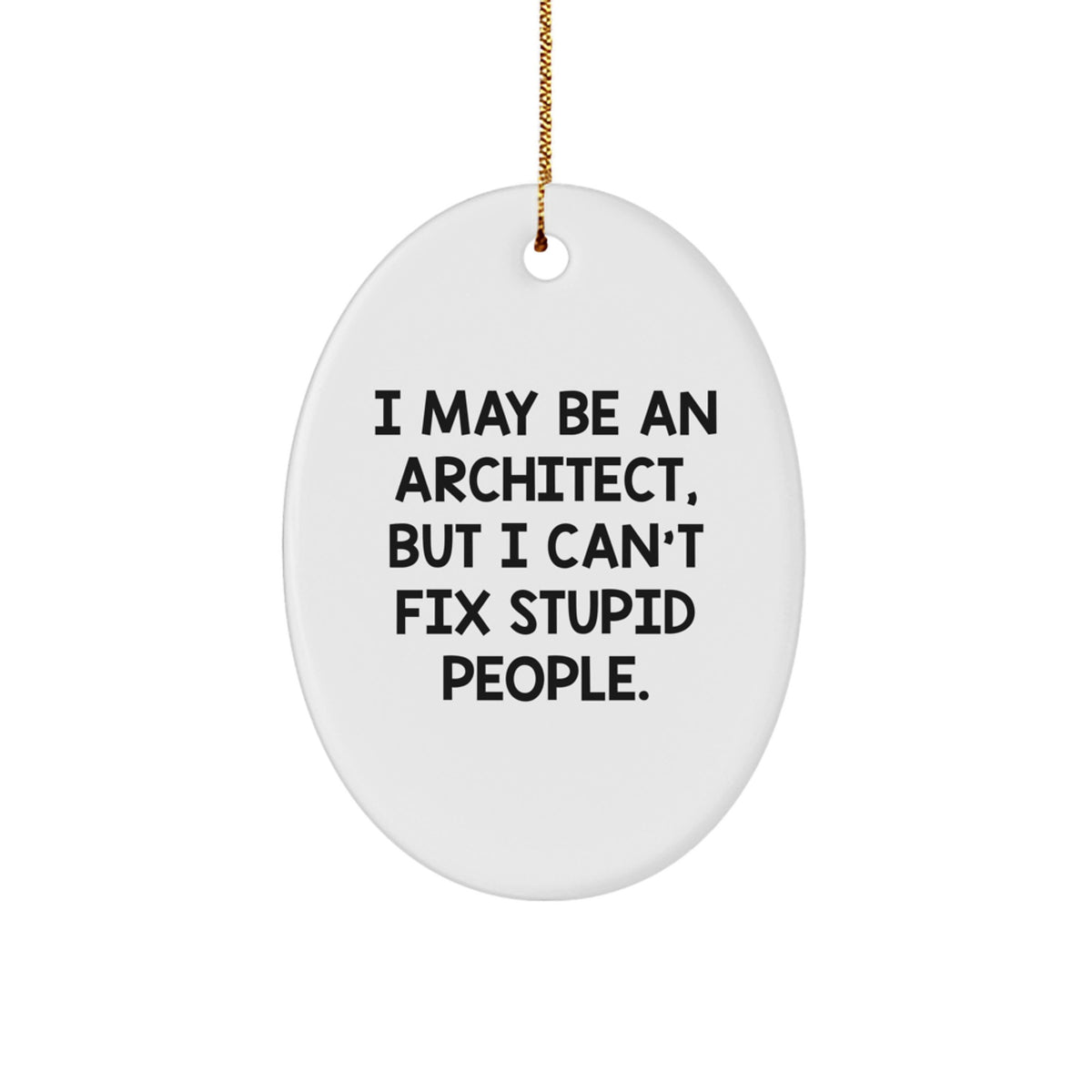 Funny Architect Oval Ornament Gifts from Family to Men Friends Coworkers, Christmas Unique Presents for Home Office Decor, 'I May Be An Architect But I Cant Fix Stupid People' Quote - Image 1