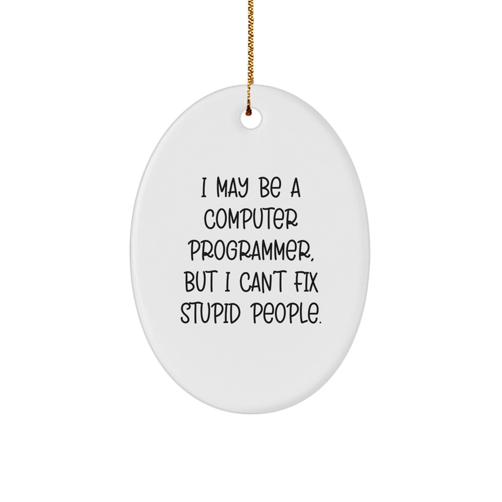 Funny Computer Programmer Gifts from Friends for Christmas - Oval Ornament with 'I May Be A Computer Programmer, But I Can't Fix Stupid People.' Quote, Unique Men's Present - Image 1