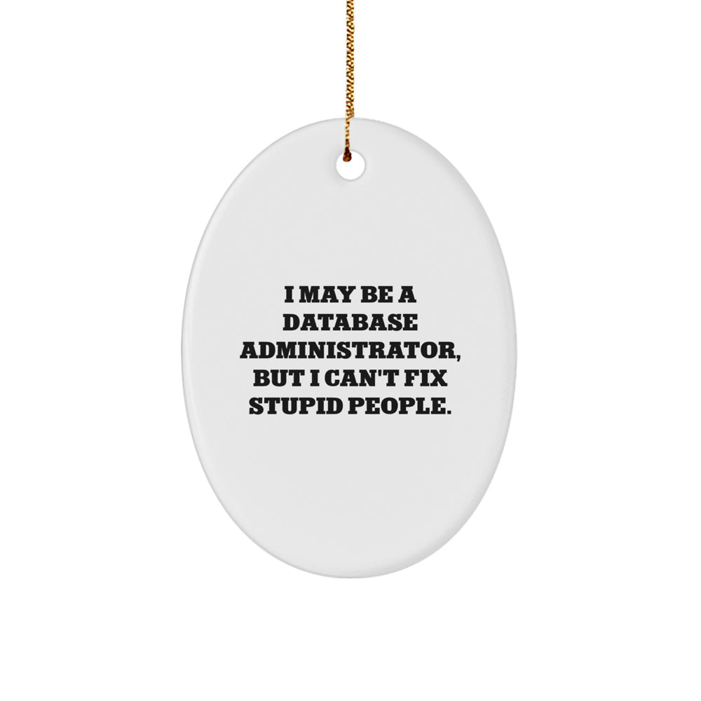 Database Administrator Oval Ornament Gifts from Friends for Christmas - 'I May Be A Database Administrator, But I Can't Fix Stupid People.' - Funny Oval Ornament for Men, Women, Coworkers, or Family - Image 1