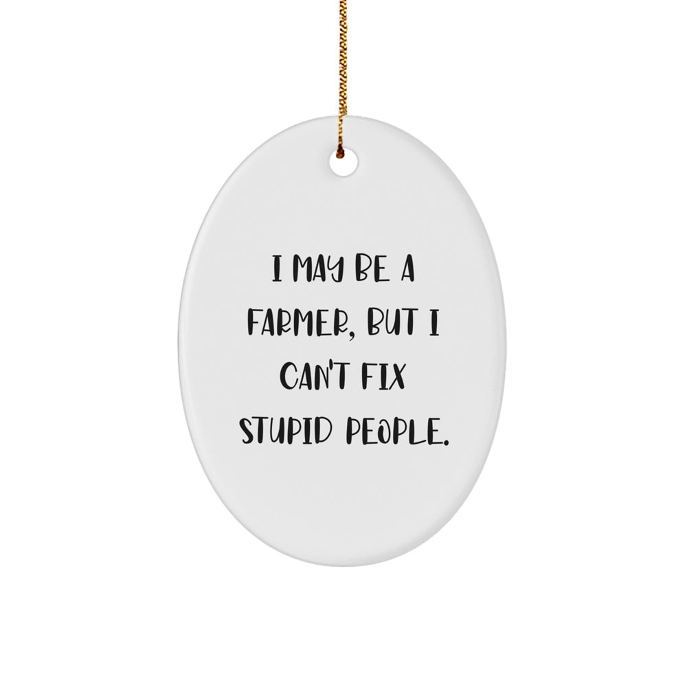 Funny Farmer Christmas Oval Ornament Gifts from Friends to Coworkers, 'I May Be A Farmer, But I Can't Fix Stupid People.' - Image 1