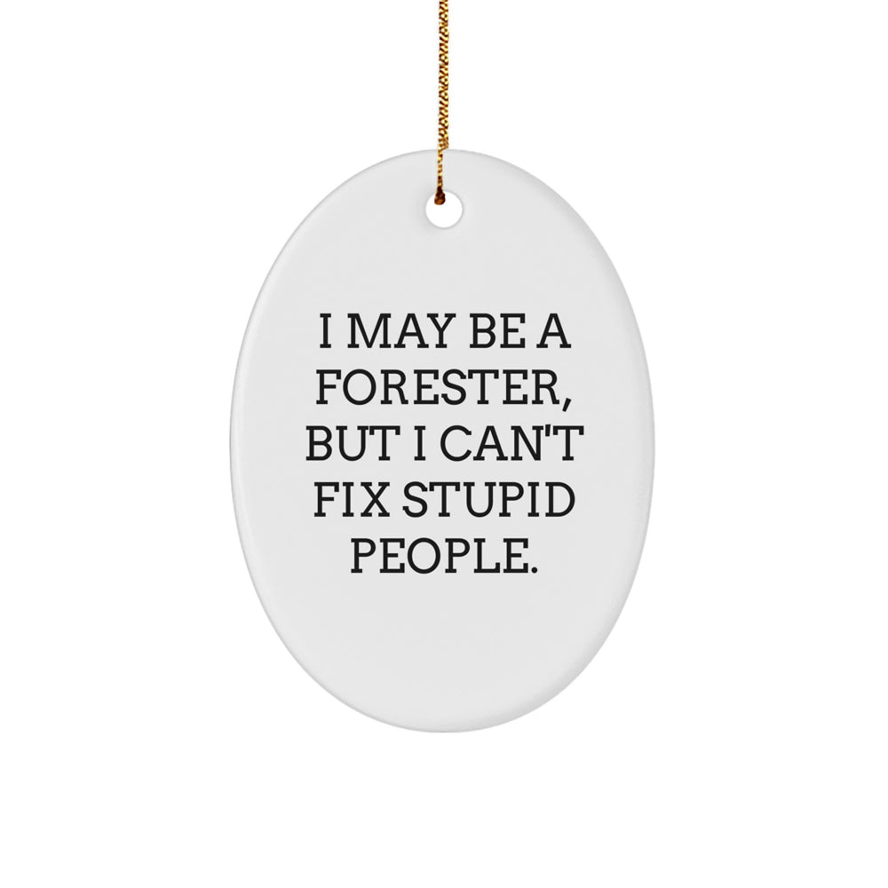 Forester Gifts from Friends, Funny Oval Ornament for Forester, I May Be a Forester, But a Christmas Unique Gift for Men, Women, Family - Image 1