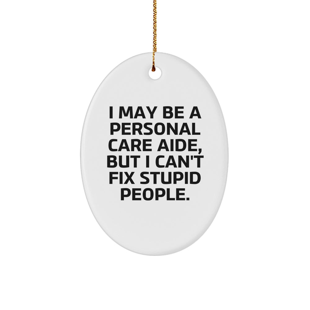 Funny Oval Ornament Gifts from Friends to Personal Care Aide I May Be A Personal Care Aide But I Can't Fix Stupid People Christmas Unique Gifts - Image 1