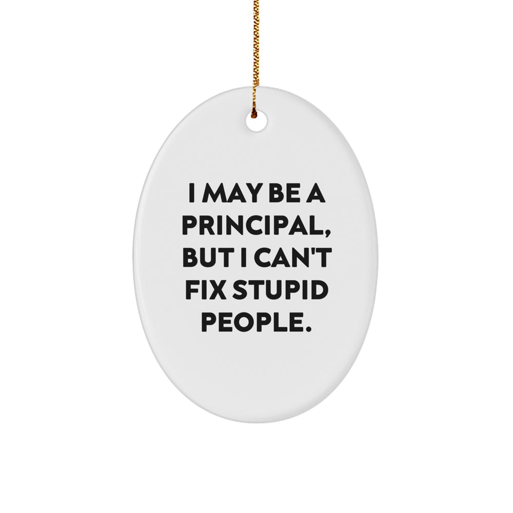Funny Principal Gifts for Men - Oval Ornament - I May Be A Principal But I Can't Fix Stupid People - Christmas Unique Gifts for Friends Family from Mom Dad - Image 1