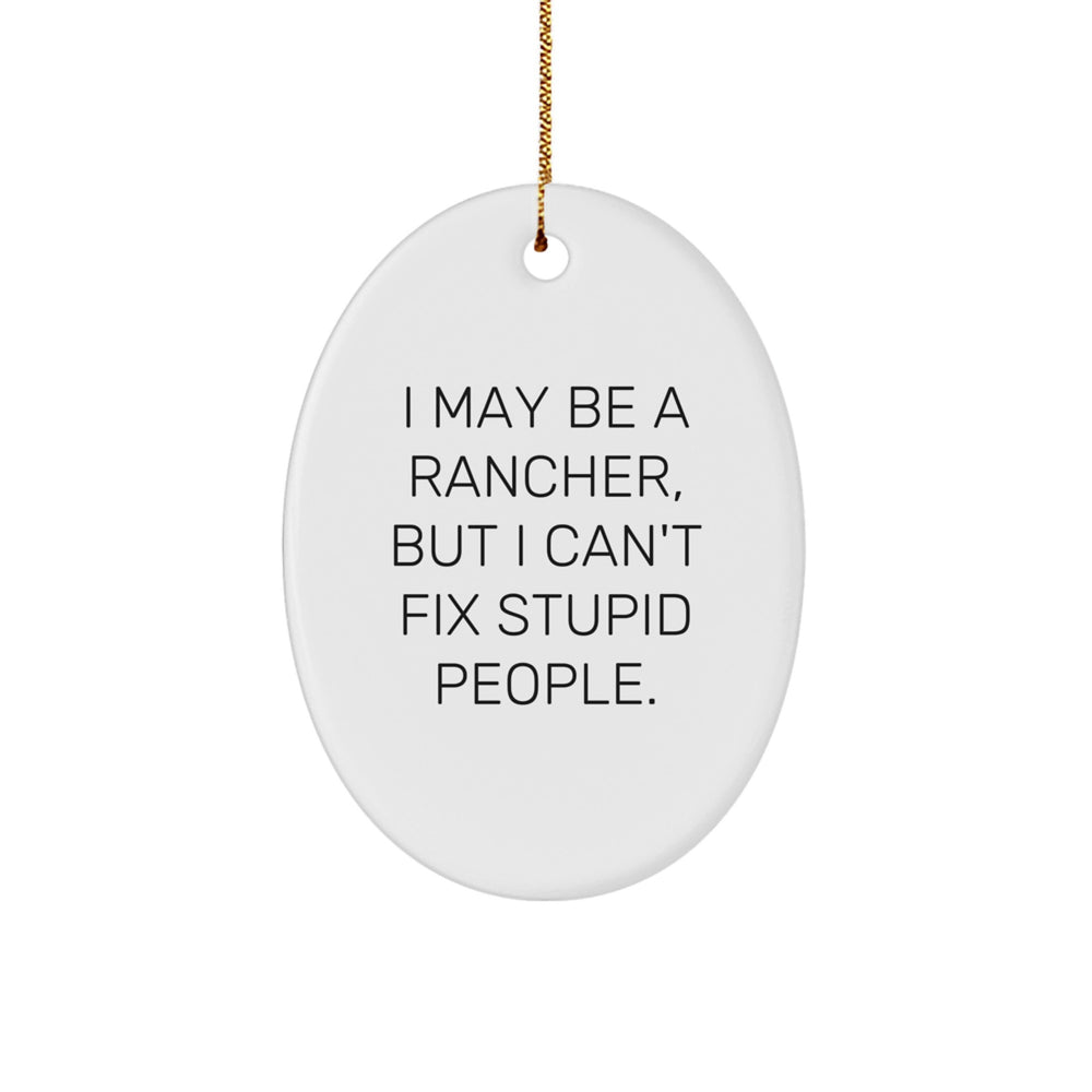 Rancher Humor Oval Ornament, Funny Gifts from Friends and Family, 'I May Be A Rancher, But I Can't Fix Stupid People.', Christmas Unique Presents for Men and Women - Image 1
