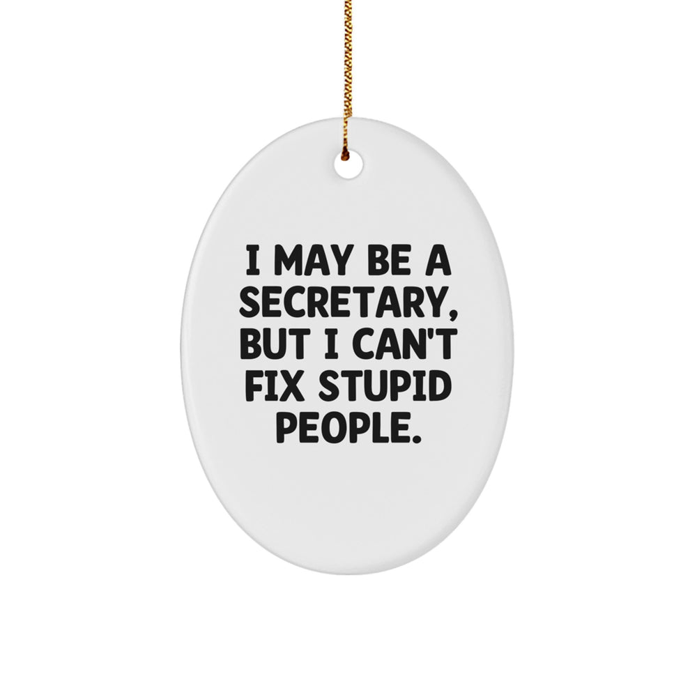 Gifts for Secretary Friends Funny Oval Ornament I May Be A Secretary, But I Can't Fix Stupid People. Christmas Unique Decorations - Image 1