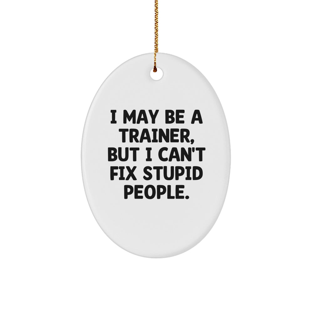 Funny Trainer Oval Ornament Gifts from Friends to Trainer, Oval Ornament Trainer, Christmas Unique Trainer Gifts - Image 1