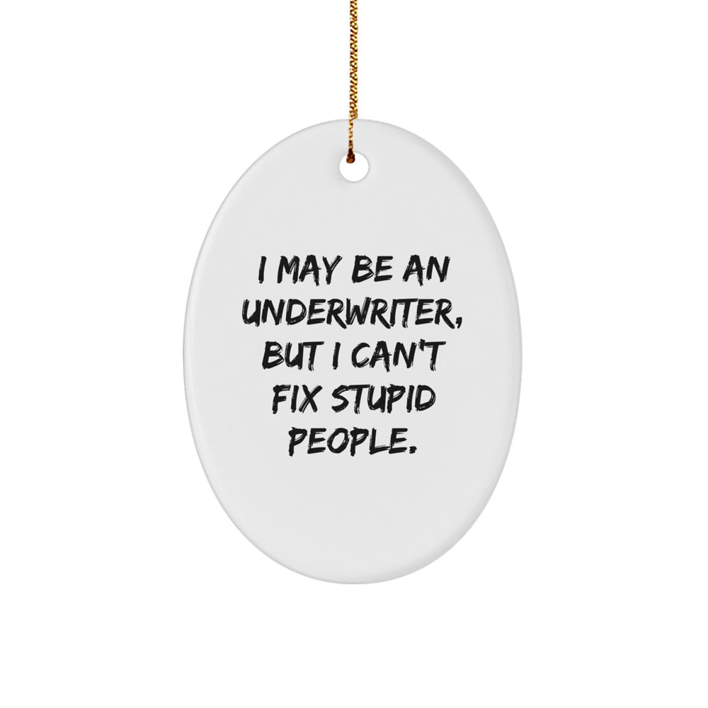Funny Underwriter Gifts - I May Be An Underwriter, But I Can't Fix Stupid People. Oval Ornament for Underwriter, Men, or Women, Gifts from Friends, Coworkers, or Family, Christmas Unique Gifts - Image 1