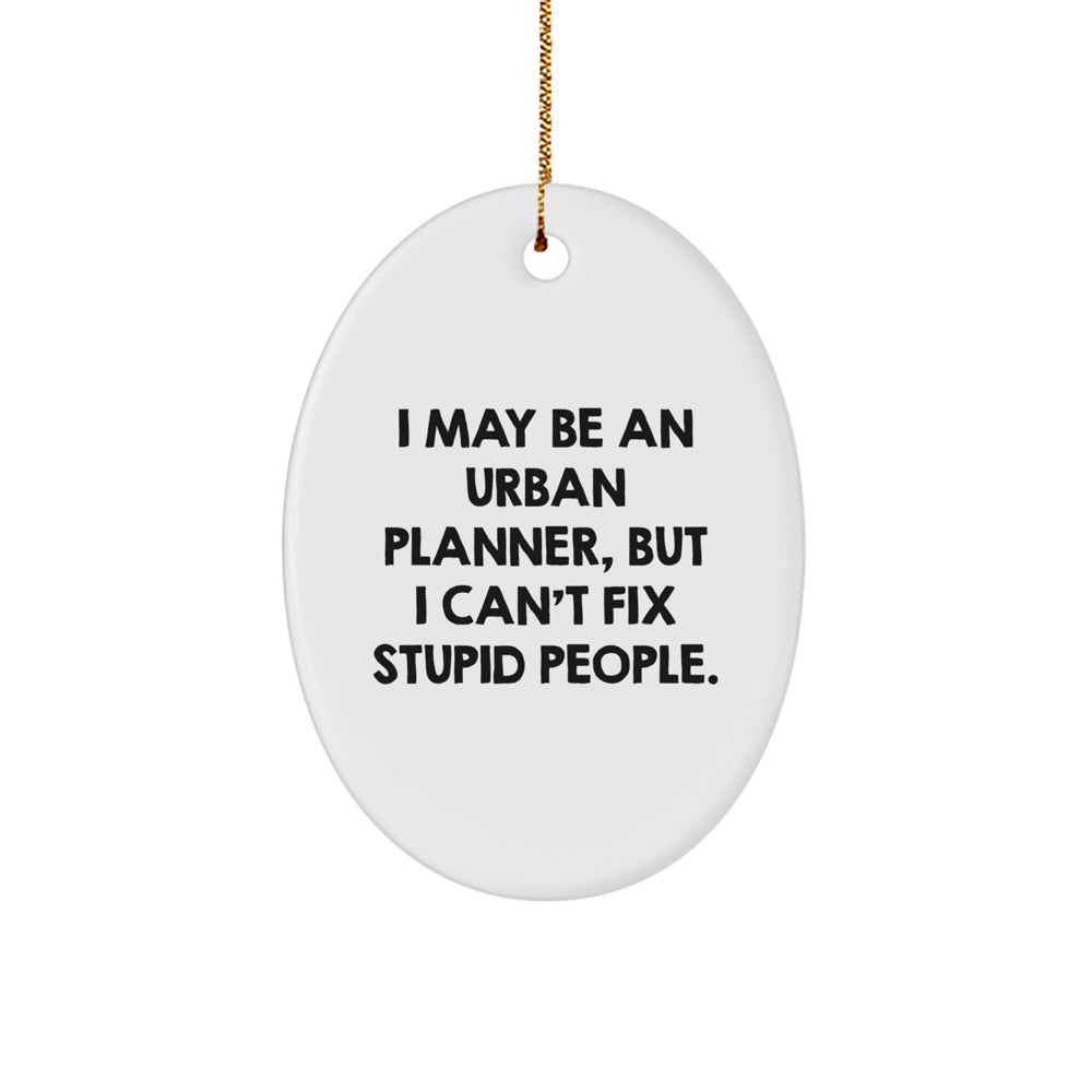 Funny Urban Planner Gifts, Oval Ornament Quotes for Men Friends Family, I May Be An Urban Planner But I Cant Fix Stupid People Christmas Unique Decorations - Image 1