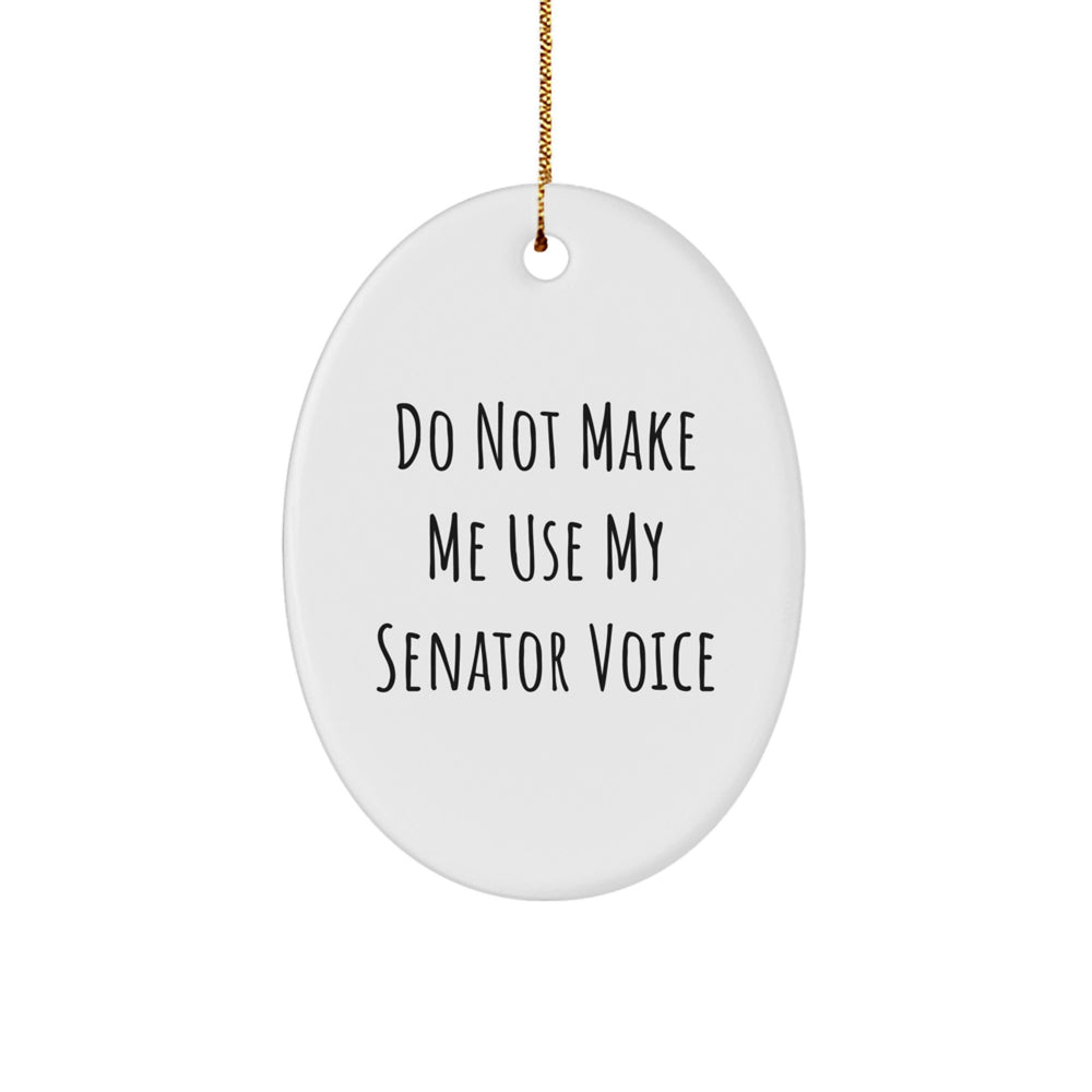 Funny Senator Oval Ornament Gifts from Friends for Senator Christmas Unique Gifts - Image 1