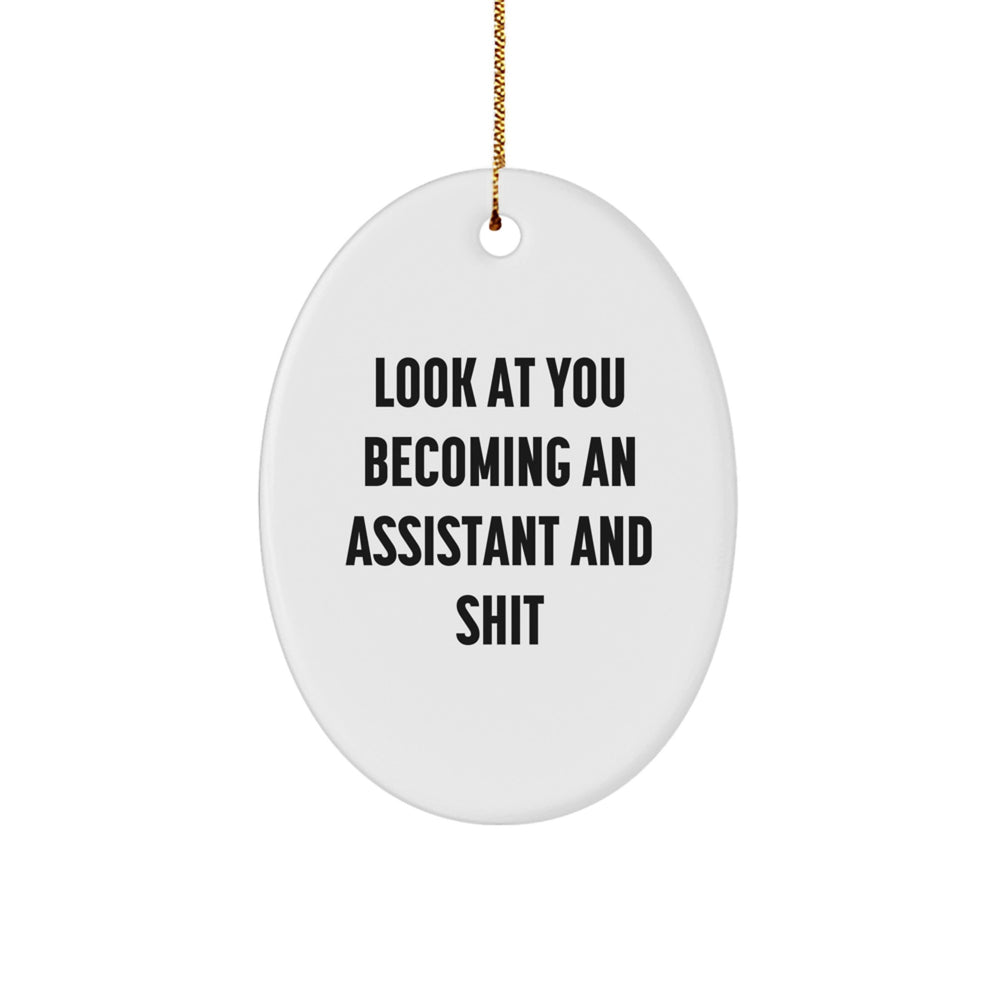Funny Assistant Gifts: Look At You Becoming An Assistant And Shit Oval Ornament, Gifts from Friends, Gifts for Assistant - Image 1