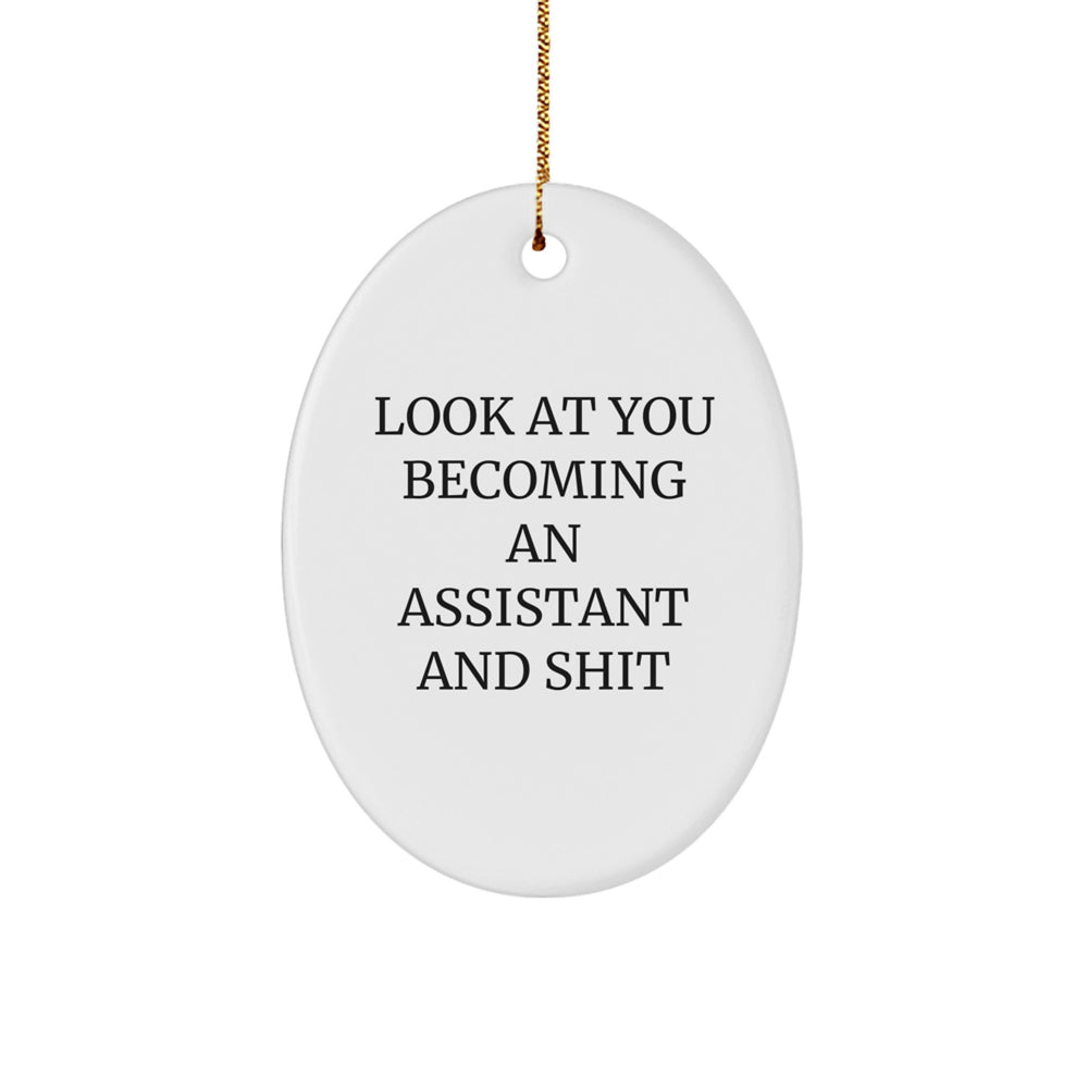 Funny Assistant Quote Oval Ornament, Gifts from Men, Gifts for Assistants, Christmas Unique Gifts, Oval Shaped Decor - Image 1