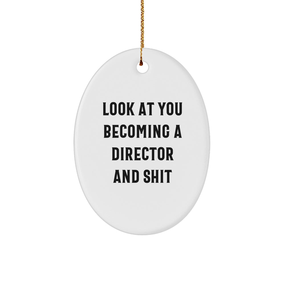 Funny Director Gifts from Men to Friends on Christmas Unique Oval Ornaments 'Look At You Becoming A Director And Shit' - Image 1