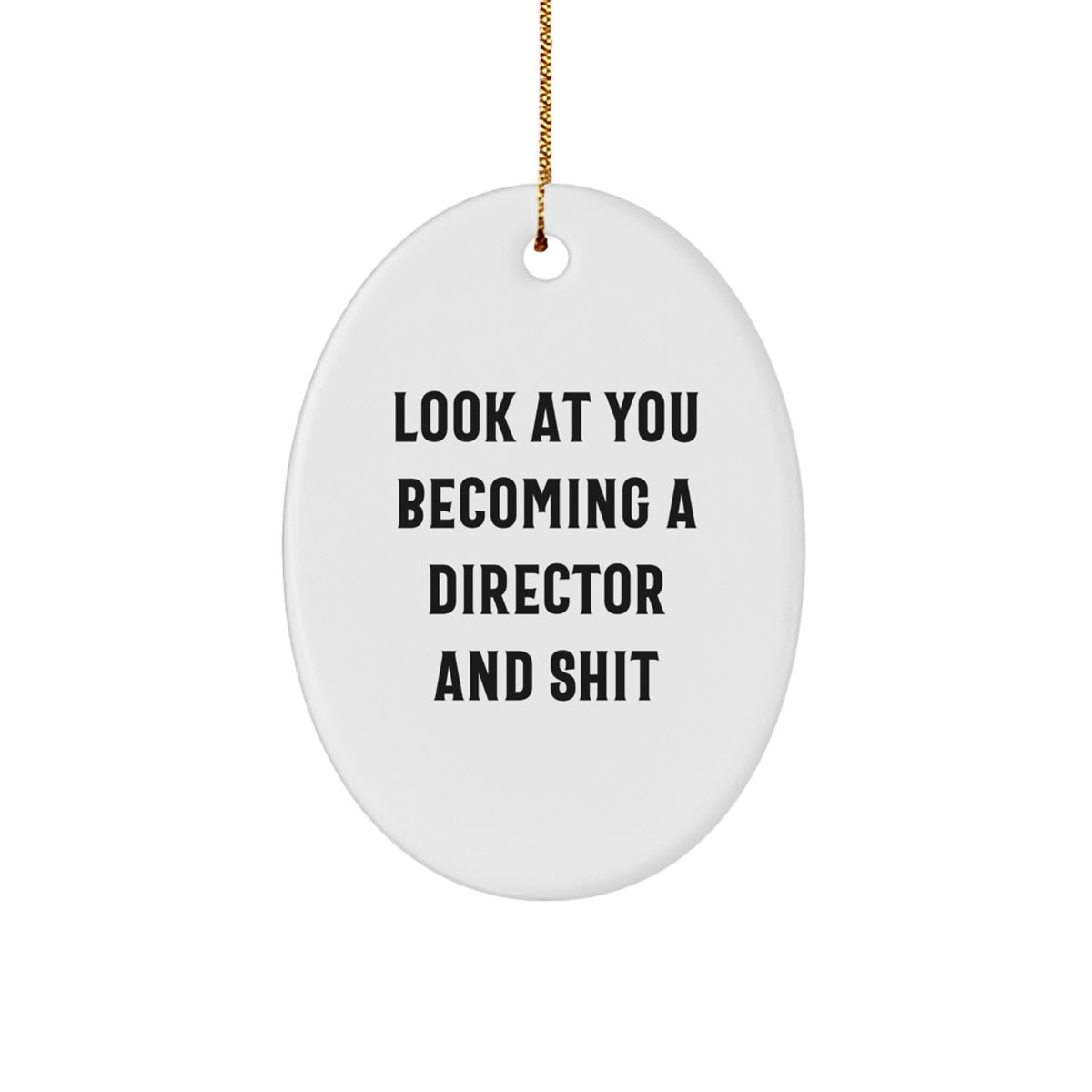 Funny Director Gifts from Men to Friends on Christmas Unique Oval Ornaments 'Look At You Becoming A Director And Shit' - Image 1