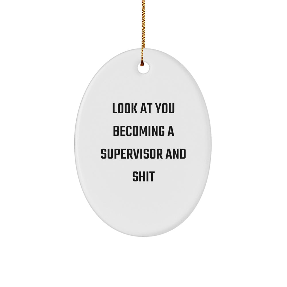 Funny Supervisor Oval Ornament Gifts from Friends and Family for Christmas Unique - Image 1