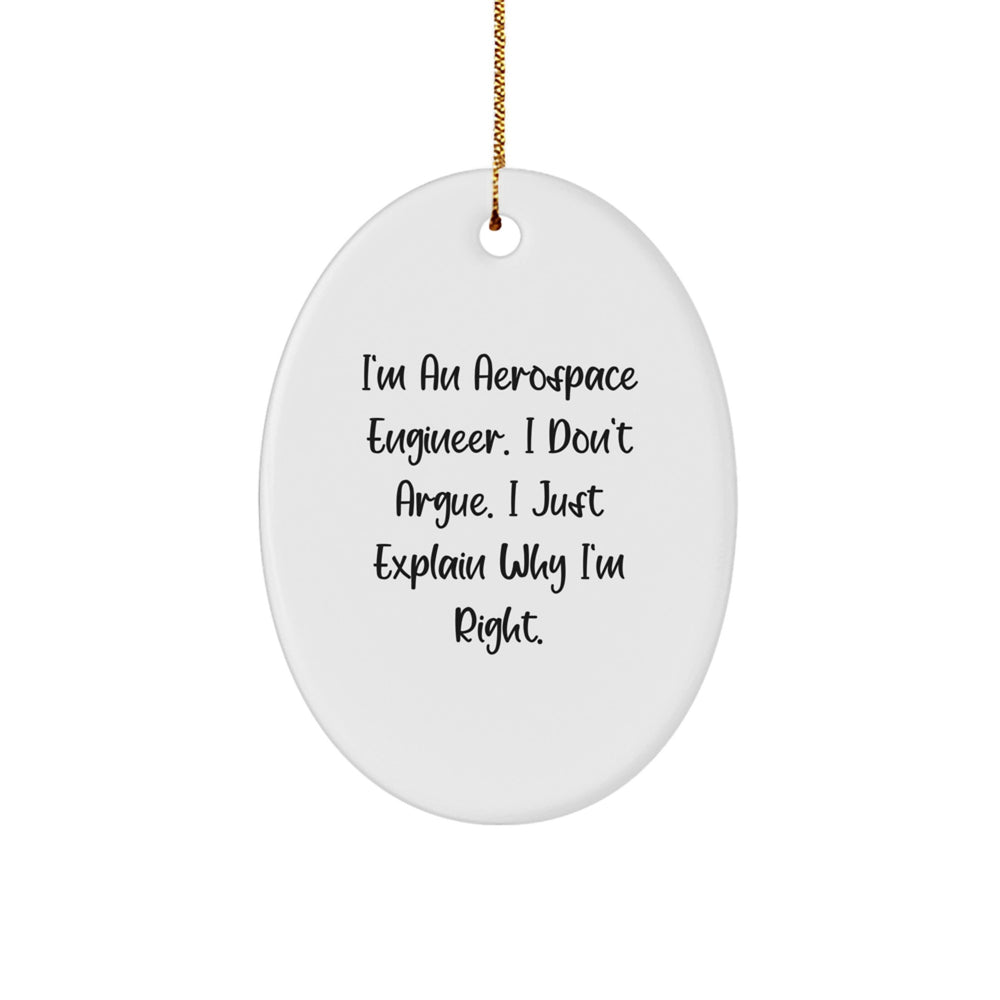 Funny Gifts from Men for Aerospace Engineer Friends - Oval Ornament I'm An Aerospace Engineer I Don't Argue I Just Explain Why I'm Right Christmas Unique Gifts - Image 1