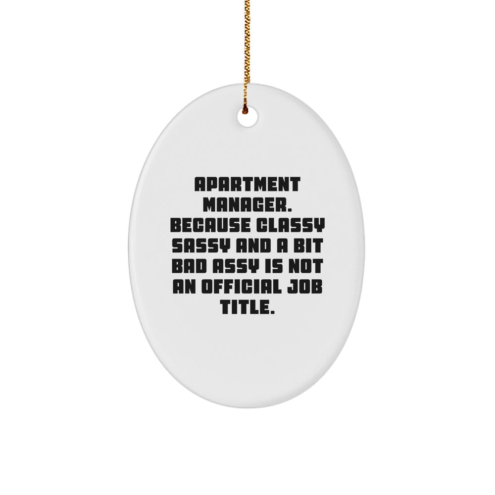 Funny Apartment Manager Gifts Oval Ornament, Gifts from Friends for Apartment Manager, Christmas Unique Gifts, Oval Ornaments for Apartment Managers, Apartment Manager Humor - Image 1