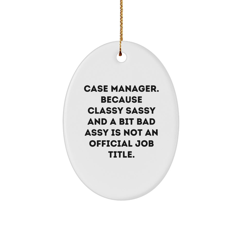 Funny Case Manager Oval Ornament Gifts from Family for Case Manager Christmas Unique Gifts - Image 1