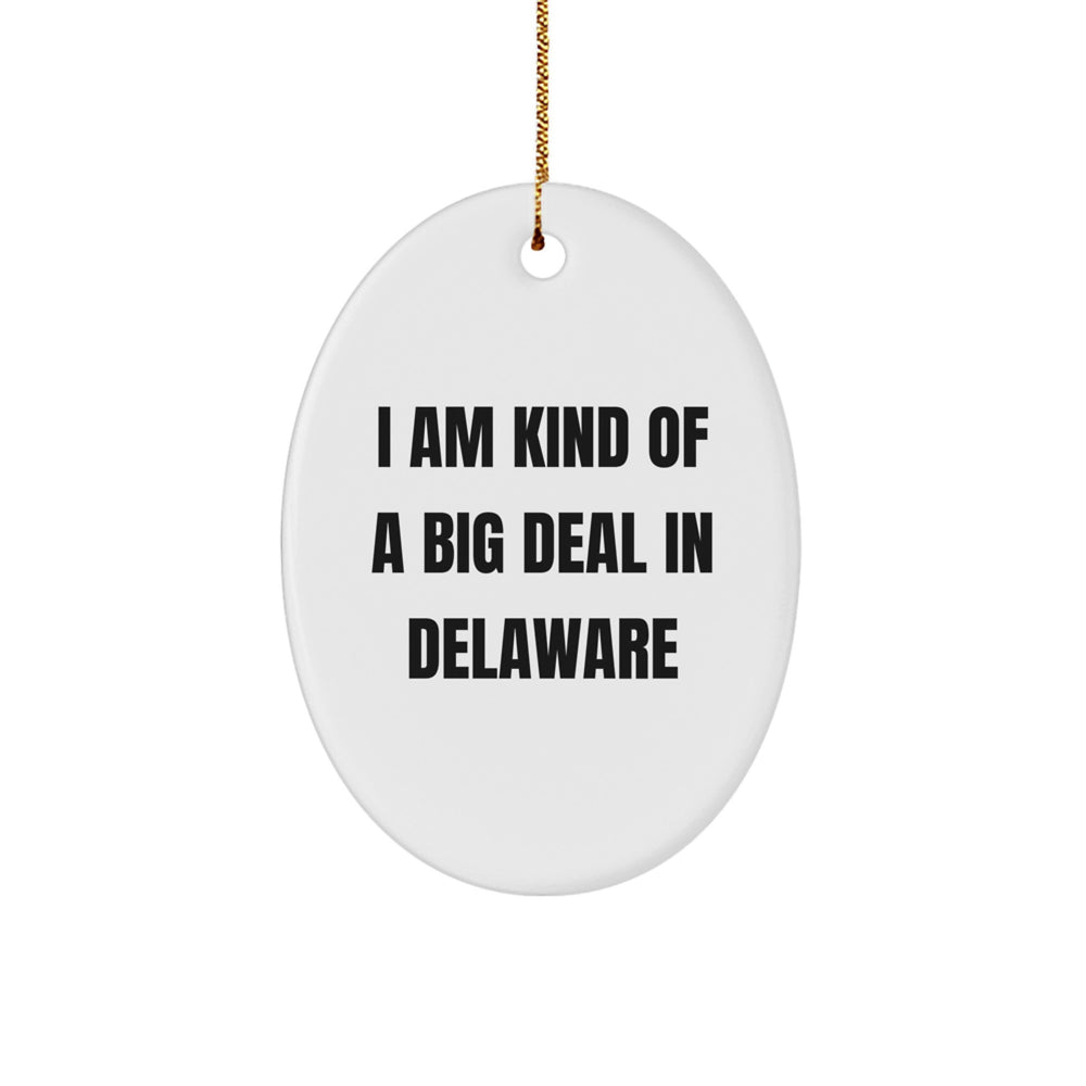 Funny Delaware Gifts for Family and Friends - Oval Ornament 'I Am Kind Of A Prime Selection In Delaware' Christmas Decor - Image 1