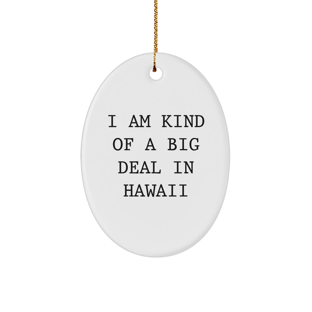Hawaii Oval Ornament Gifts from Men to Friends in Christmas Unique - Image 1