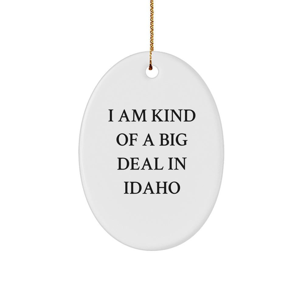 Funny Idaho Gifts, I Am Kind Of A Prime Selection In Idaho Oval Ornament, Christmas Unique Gifts from Friends to Family - Image 1