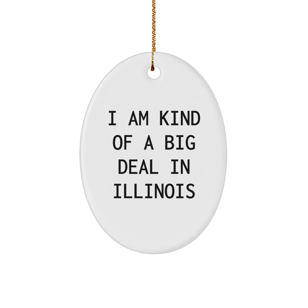 Illinois Oval Ornament, 'I Am Kind Of A Prime Selection In Illinois', Funny Christmas Unique Gifts for Illinois Men, Women, Friends, Coworkers, Family - Image 1