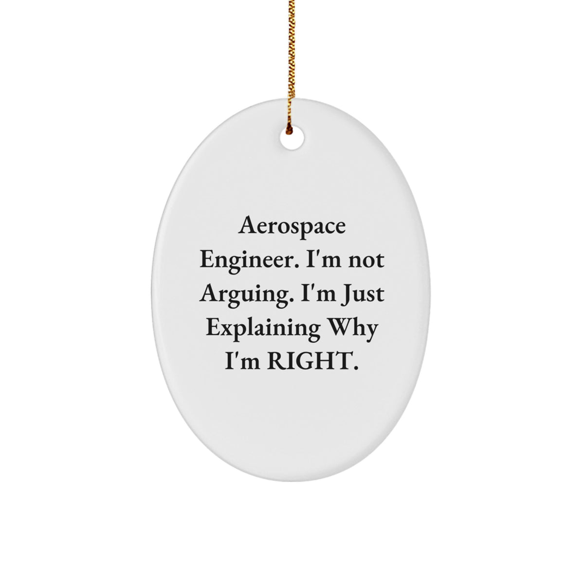 Aerospace Engineer Gifts for Men, Christmas Unique Oval Ornament, Funny Quote - 'Explaining Why I'm Right' Gifts from Friends, Coworkers, Family - Image 1
