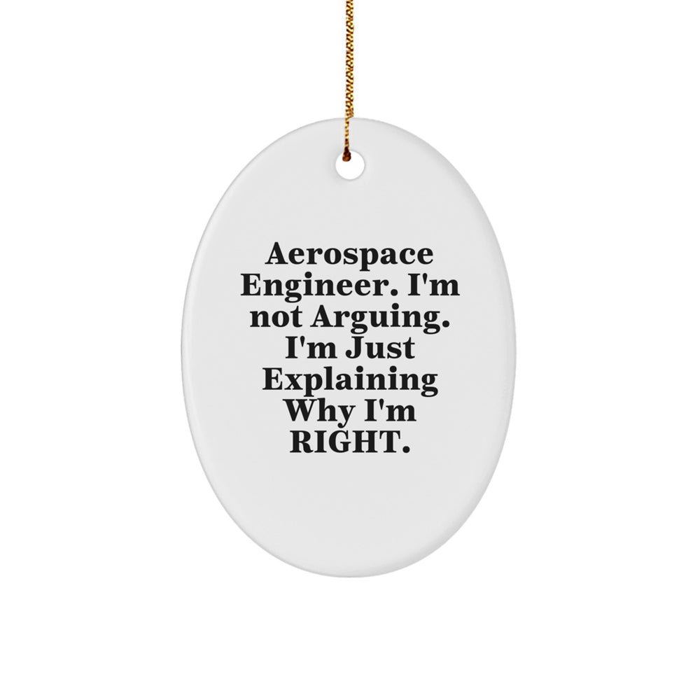 Funny Aerospace Engineer Oval Ornament Gifts from Friends for Aerospace Engineer Christmas Unique Gifts - Image 1