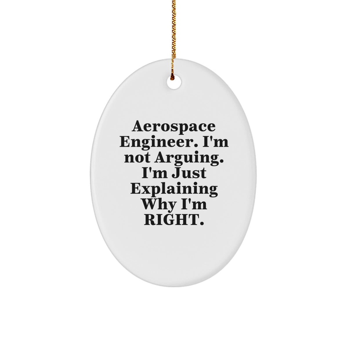 Funny Aerospace Engineer Oval Ornament Gifts from Friends for Aerospace Engineer Christmas Unique Gifts - Image 1