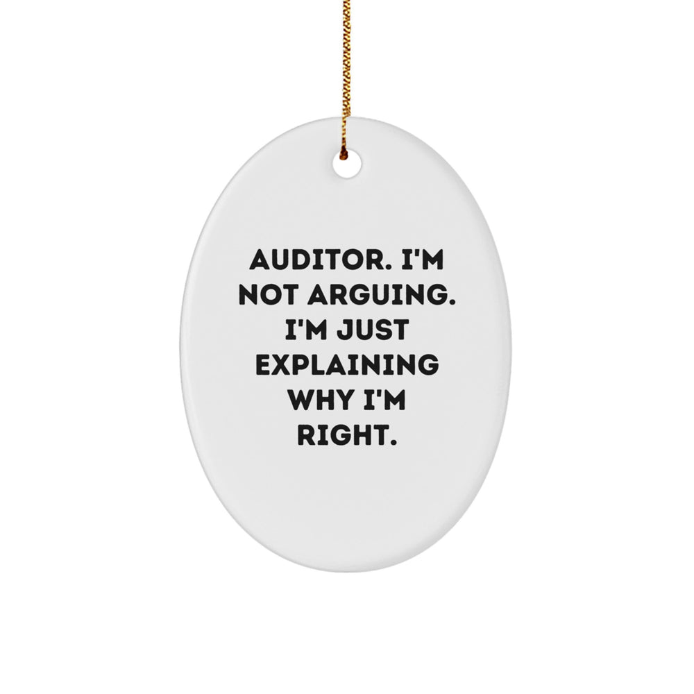 Funny Auditor Gifts from Men to Friends Christmas Unique Oval Ornaments for Auditor - Image 1