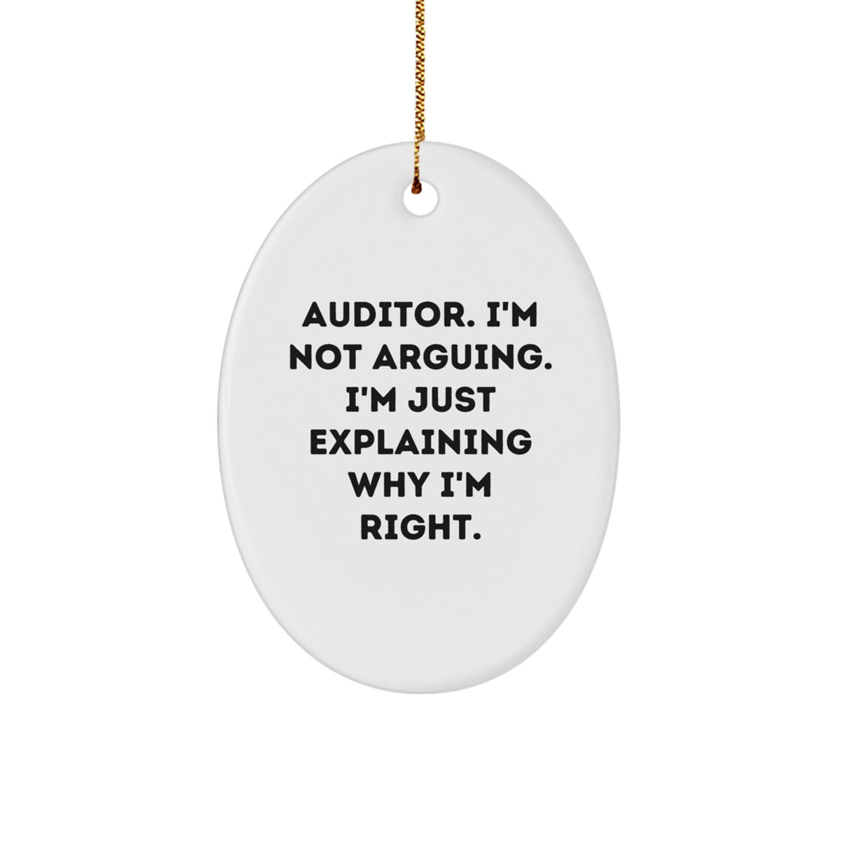 Funny Auditor Gifts from Men to Friends Christmas Unique Oval Ornaments for Auditor - Image 1