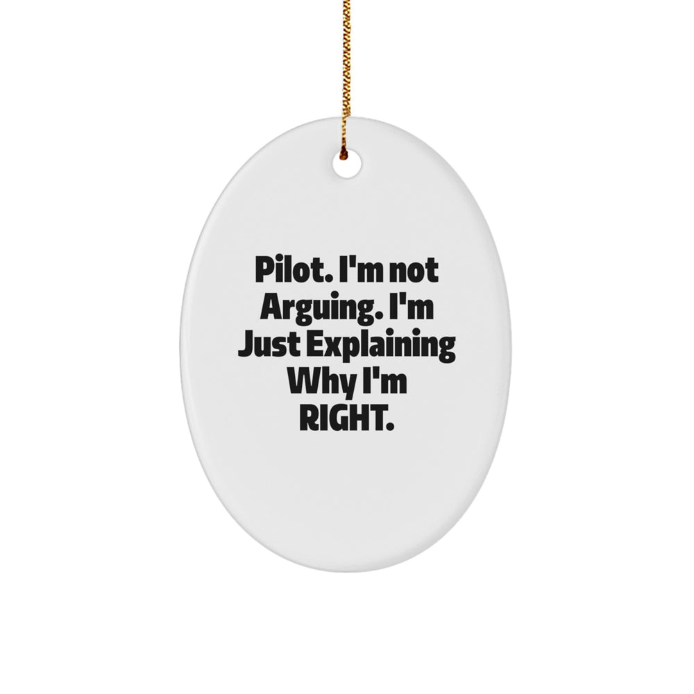 Funny Pilot Oval Ornament Gifts from Friends for Men - Image 1