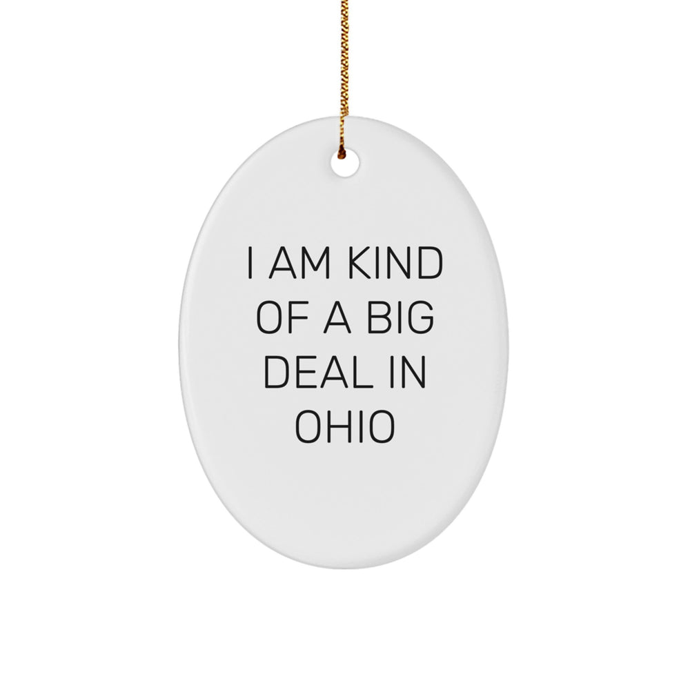 Funny Ohio Gifts for Men from I Am Kind Of A Prime Selection In Ohio Oval Ornament, Christmas Unique Handmade Decorations - Image 1