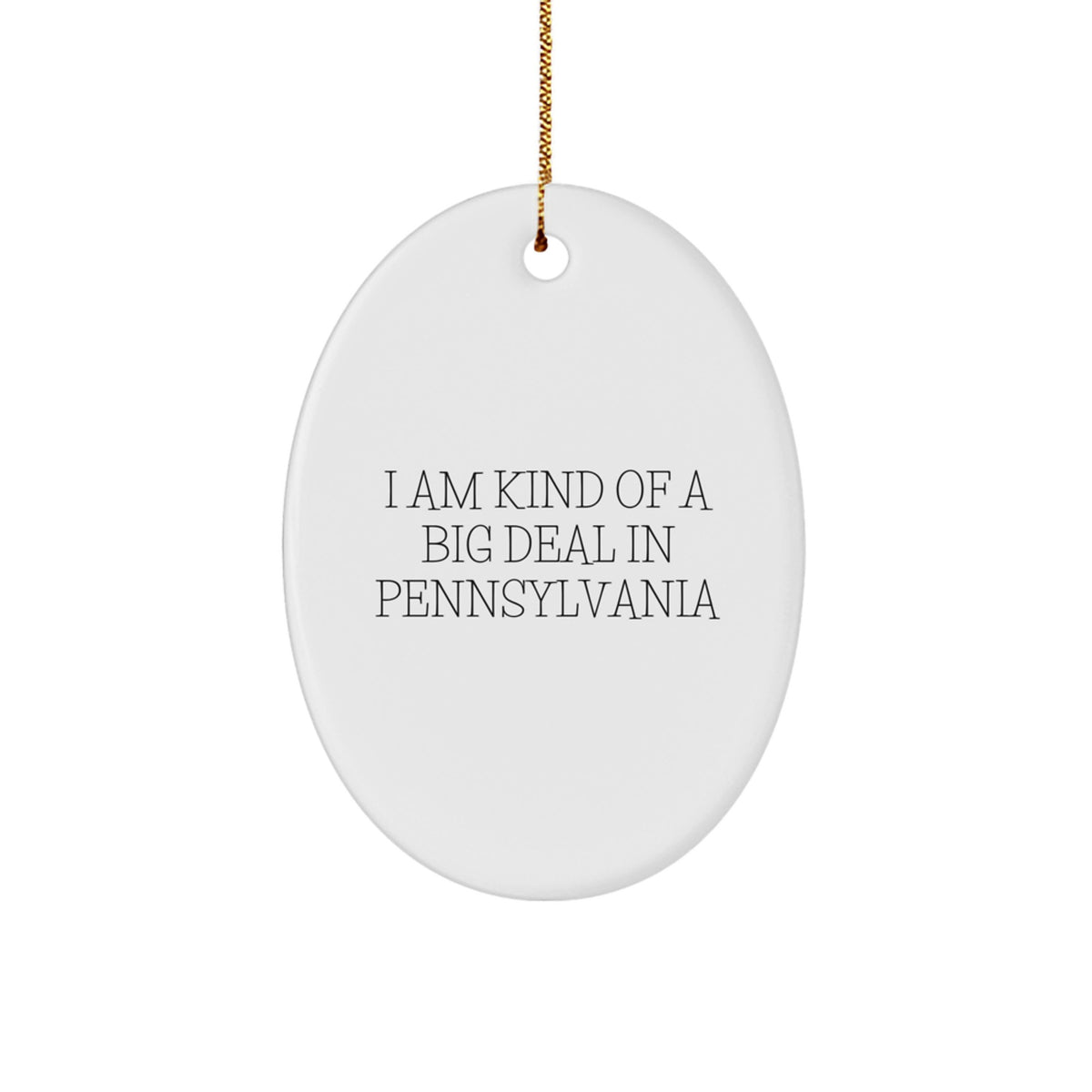 Pennsylvania Oval Ornament I Am Kind Of A Prime Selection Funny Quote Gifts from Friends and Family for Christmas - Image 1