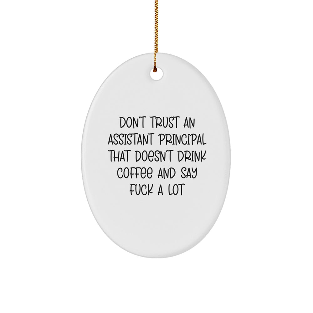 Funny Assistant Principal Gifts - Oval Ornament for Men Women Friends Family - 'Don't Trust An Assistant Principal That Doesn't Drink Coffee And Say F--k A Lot' Christmas Unique Gifts from Friends - Image 1