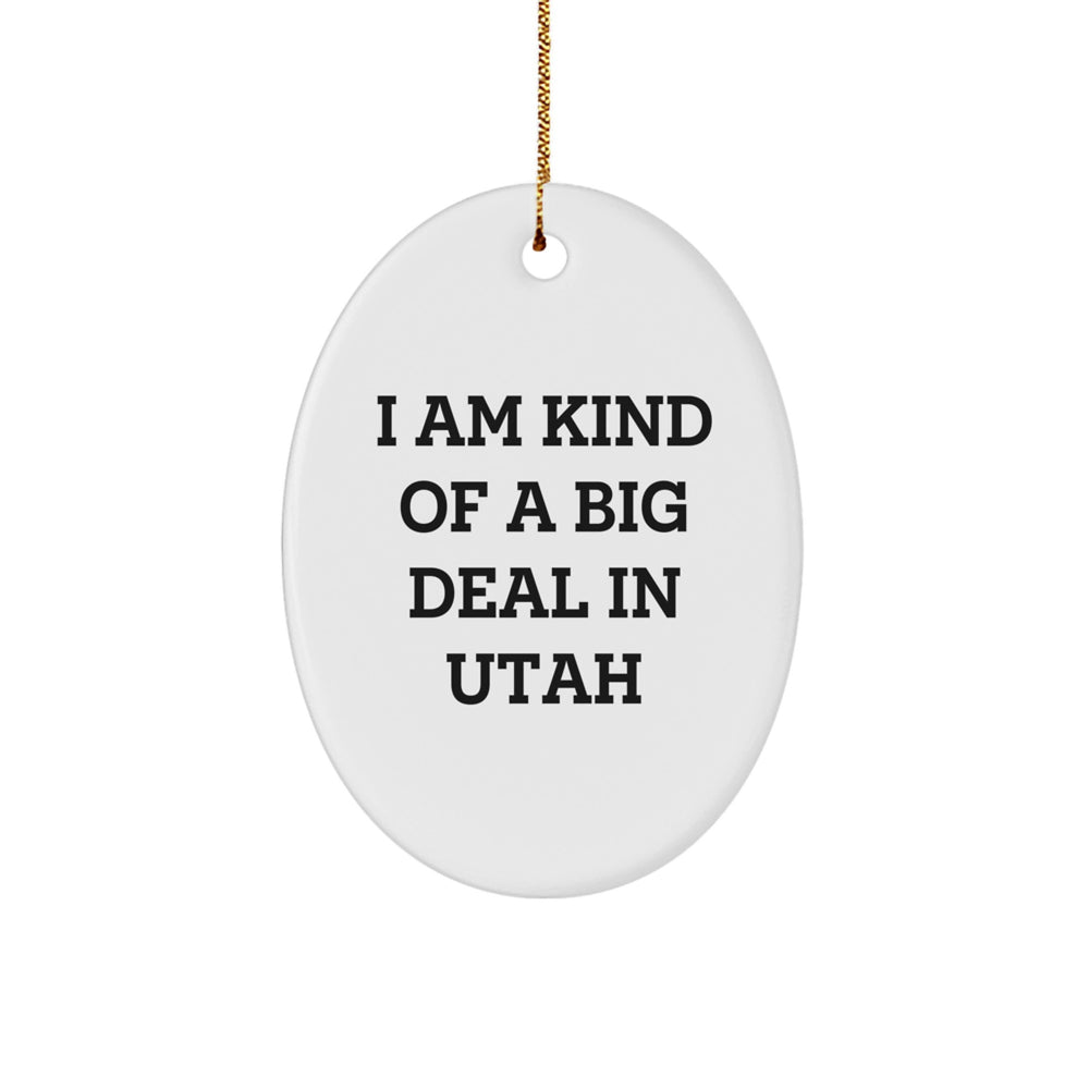 Utah Oval Ornament Gifts from Friends - I Am Kind Of A Prime Selection In Utah, Funny Quote Ornament for Christmas - Image 1