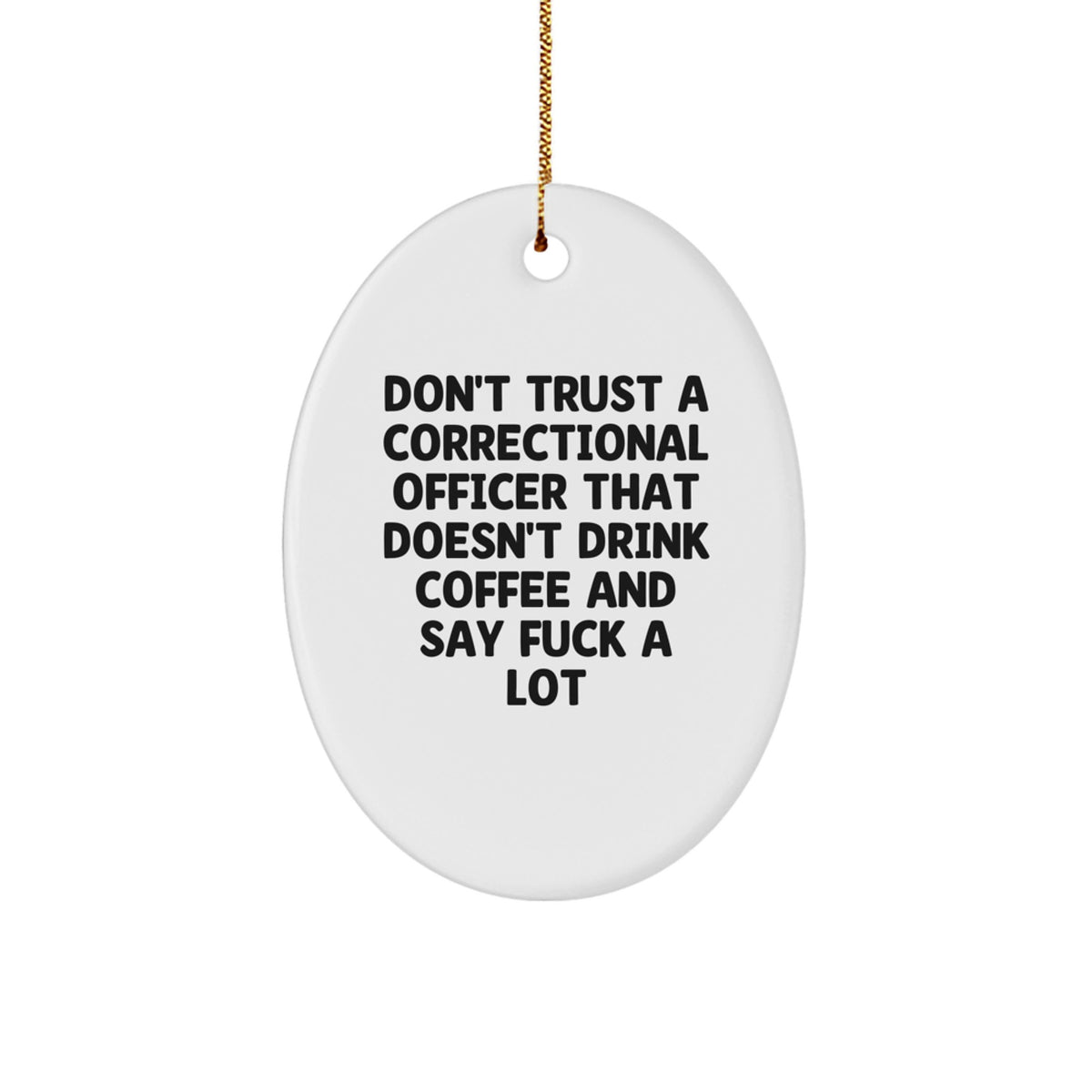 Funny Correctional Officer Gifts from Men, Women, Friends, Coworkers to Correctional Officer, Men, Women for Christmas Unique Gifts - Image 1